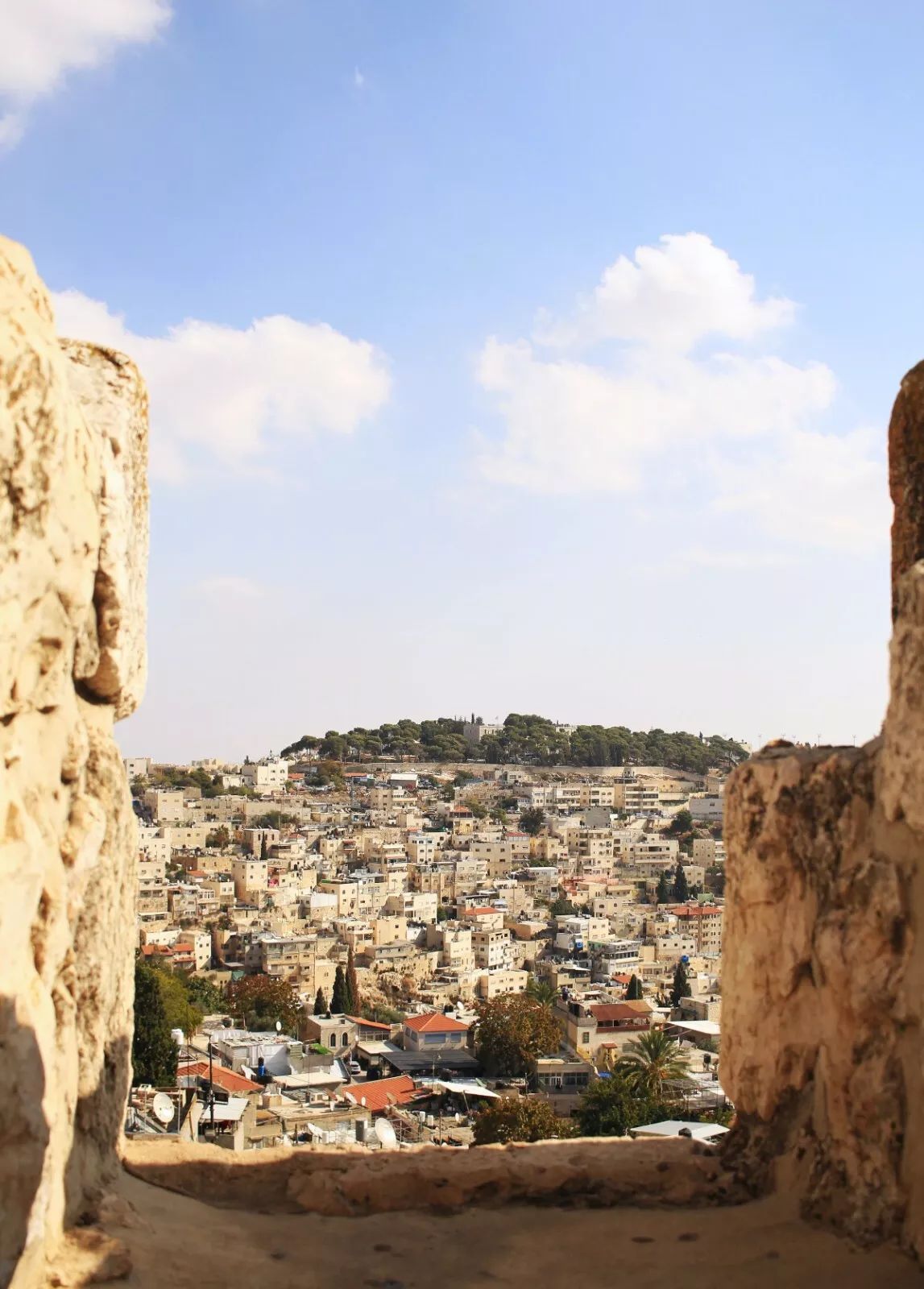 Jerusalem Israel Poster Picture Print Jewish Homeland Skyline Cityscape Hebrew