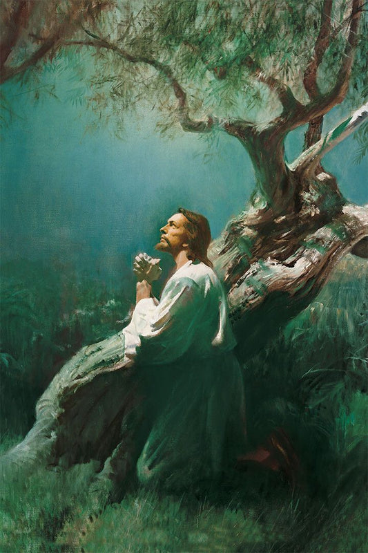Jesus In The Garden Of Gethsemane Religious Print Wall Art Home Poster