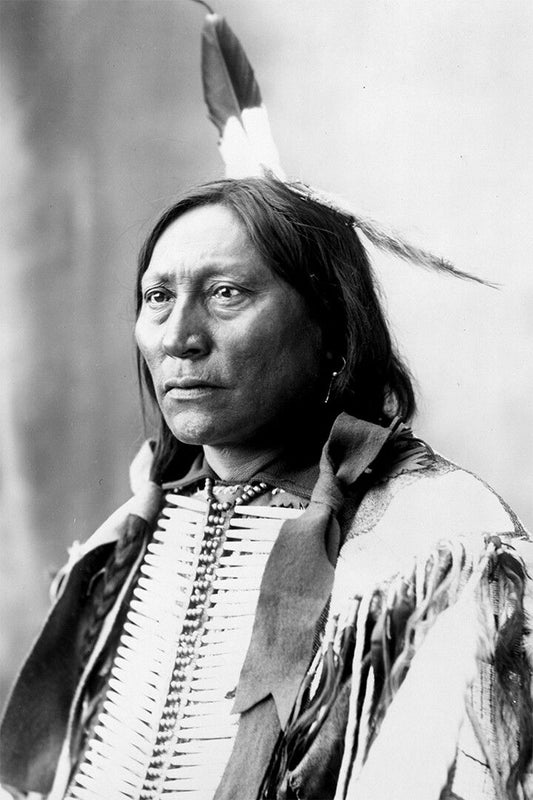 John Hollow Horn Bear Sioux Person Painting Print Wall Art Home Poster