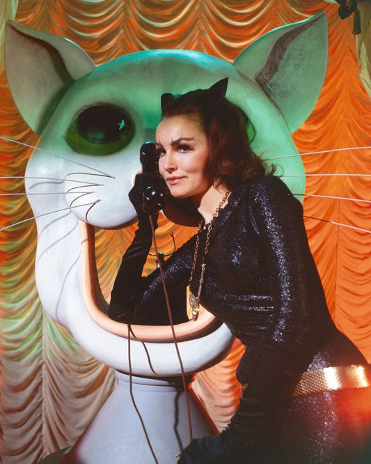 Julie Newmar Is Catwoman In Batman Series Poster Picture Photo Print