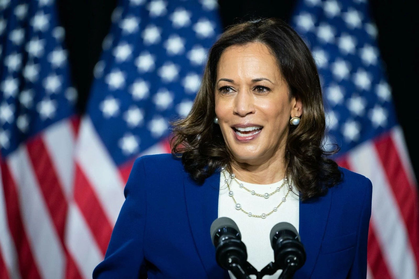 Kamala Harris Print Banner Democrat Vice President 300 Piece Jigsaw Puzzle