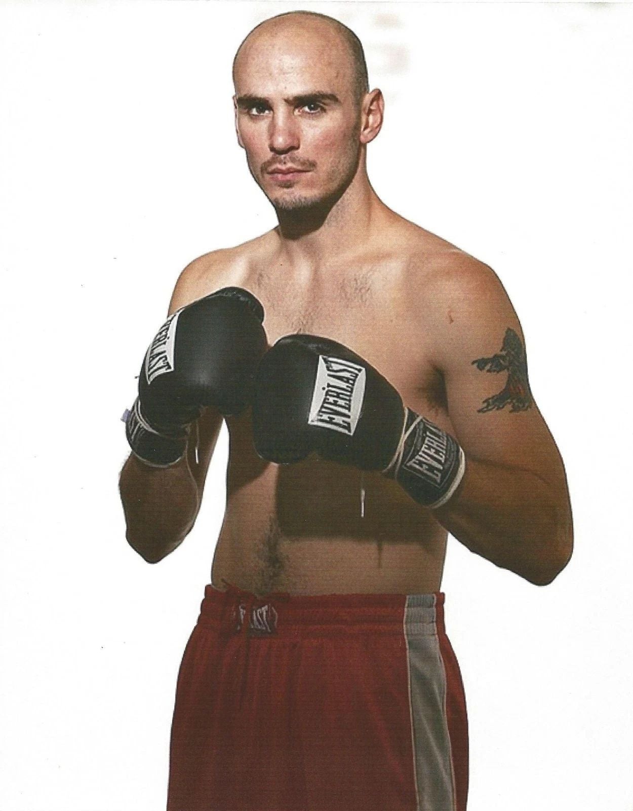 Kelly Pavlik Magnet Boxing Picture