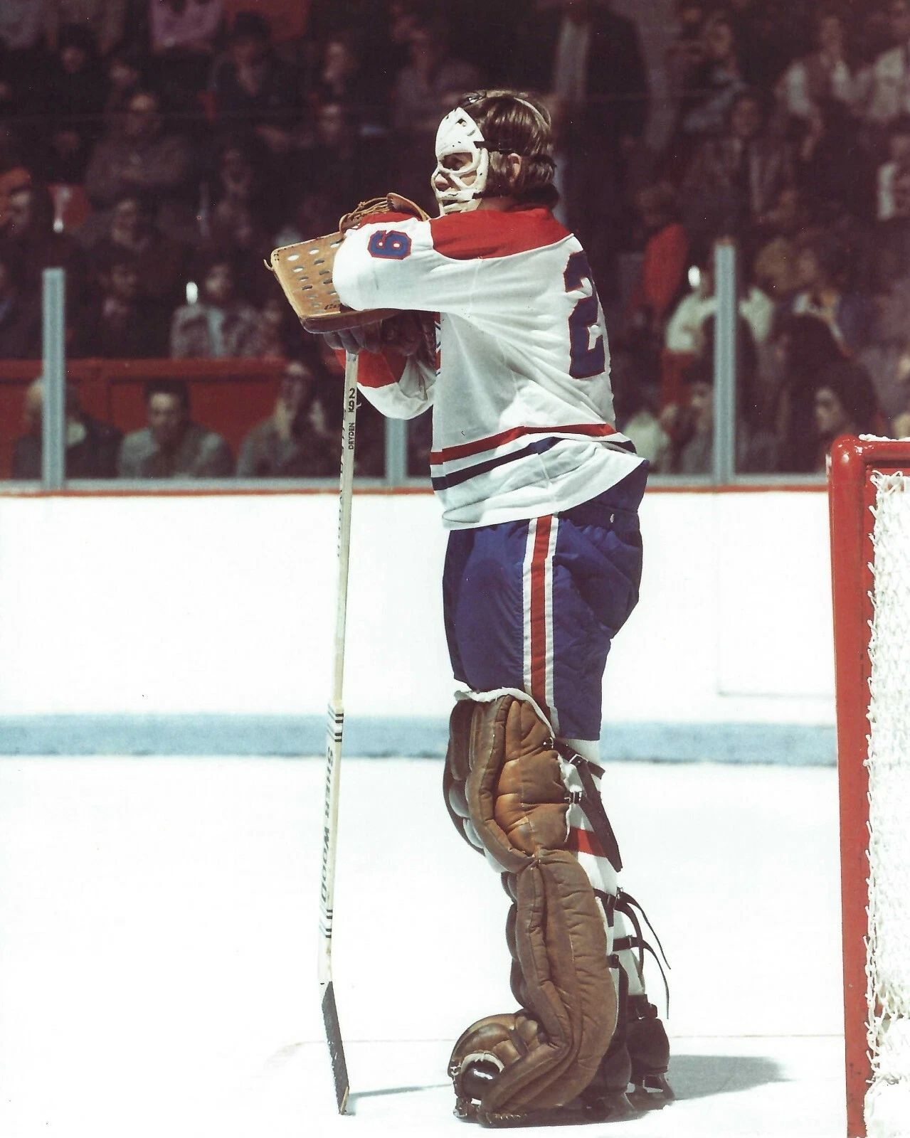 Ken Dryden Photo Montreal Canadiens Nhl Picture Hockey
