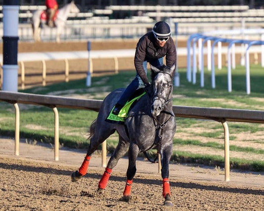King Russell Magnet Horse Racing Picture Jockey