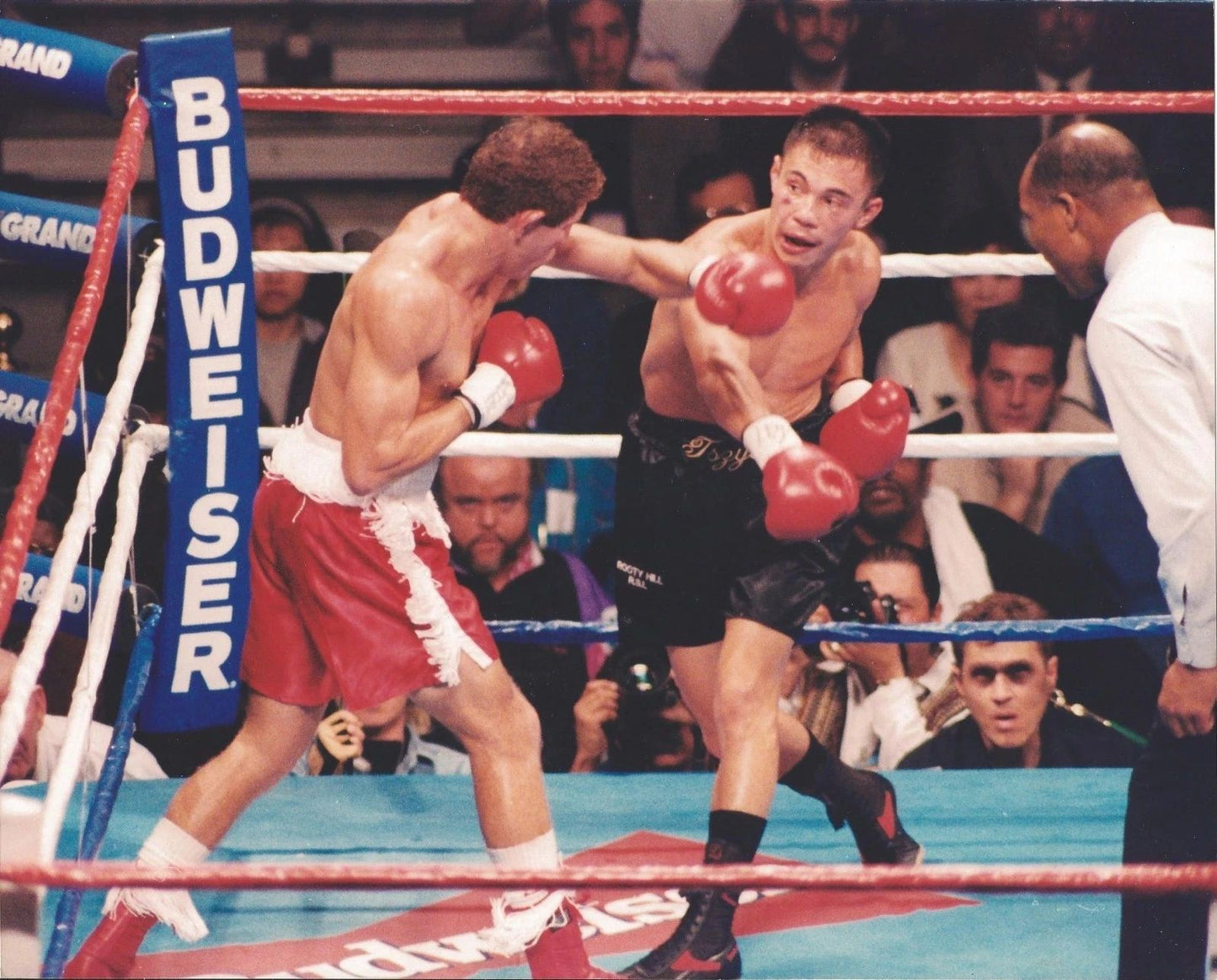 Kostya Tszyu Photo Boxing Picture Ring Action