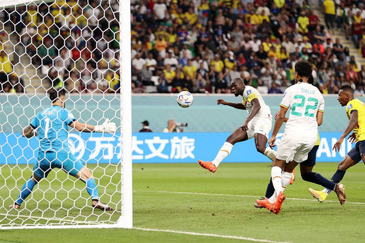 Kalidou Koulibaly Fans Senegal World Cup Wall Art Home Decor Poster