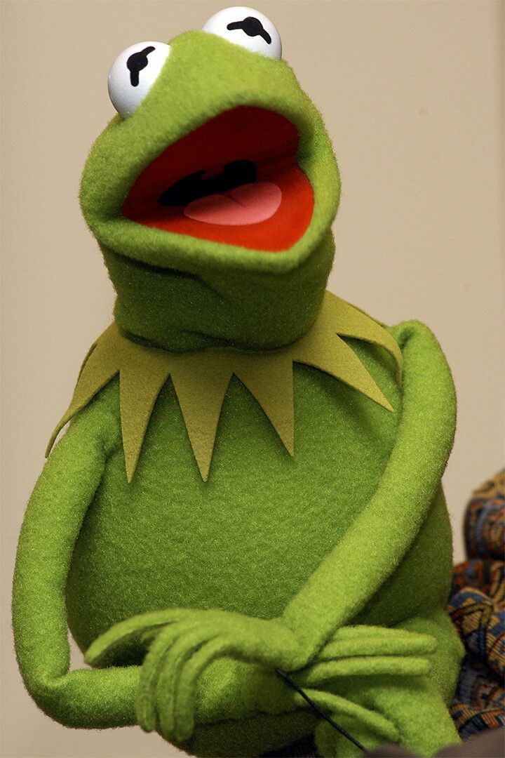 Kermit The Frog Fictional Character Print Jigsaw Puzzle
