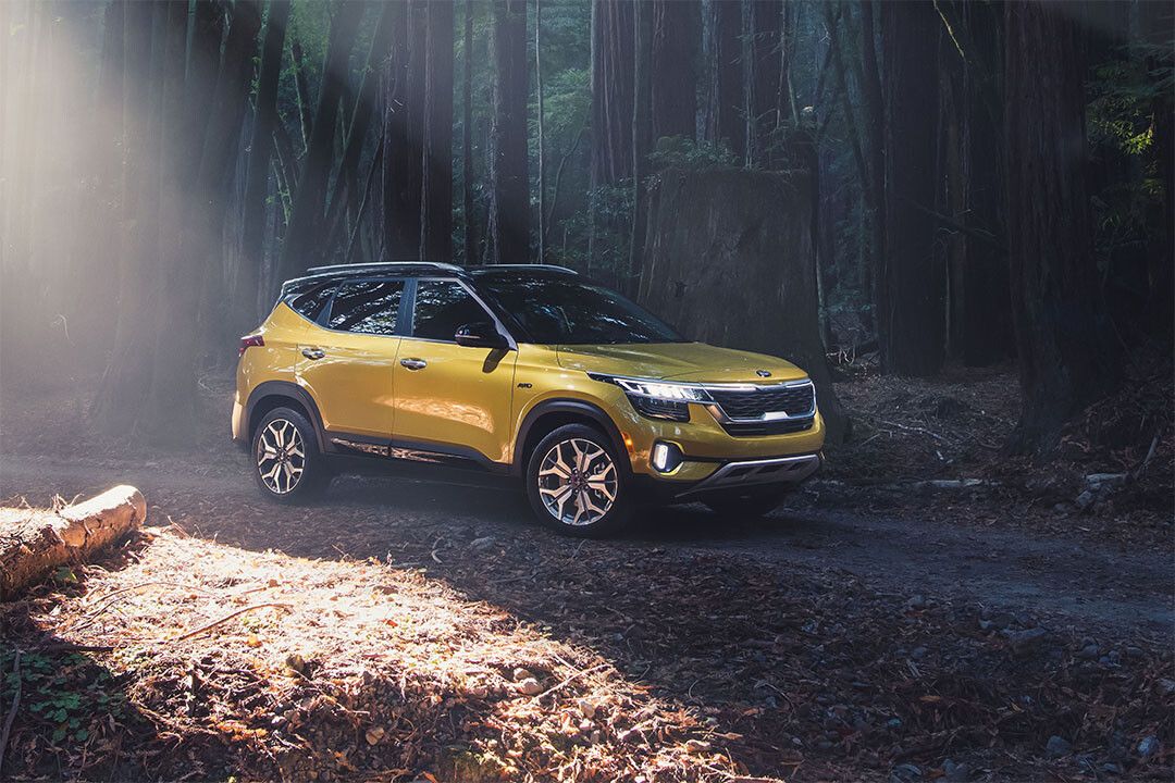 Kia Seltos 5 Seater Suv Car Home Decor Print Poster
