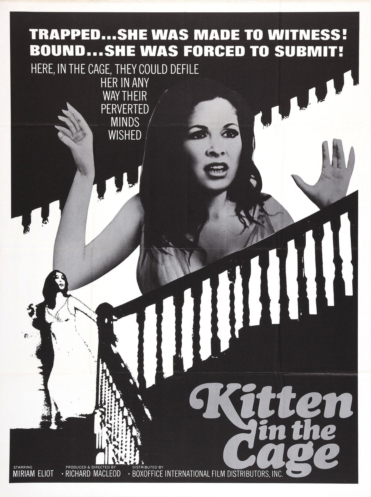 Kitten In Cage 01 Movie Magnet