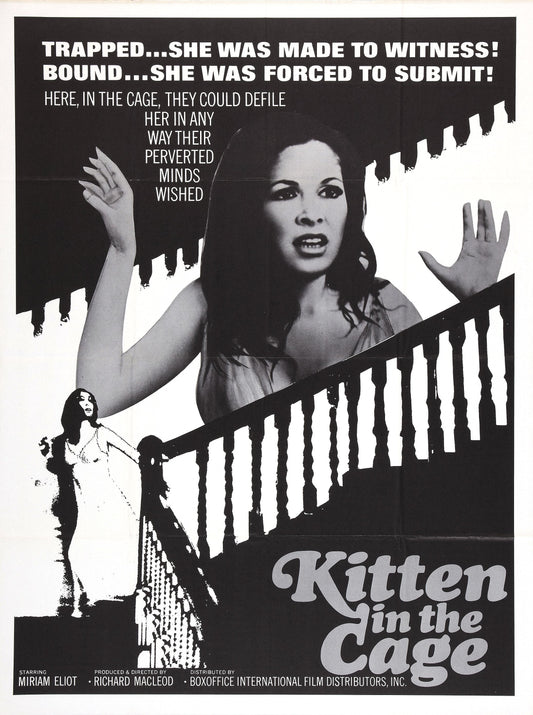 Kitten In Cage 01 Movie Magnet
