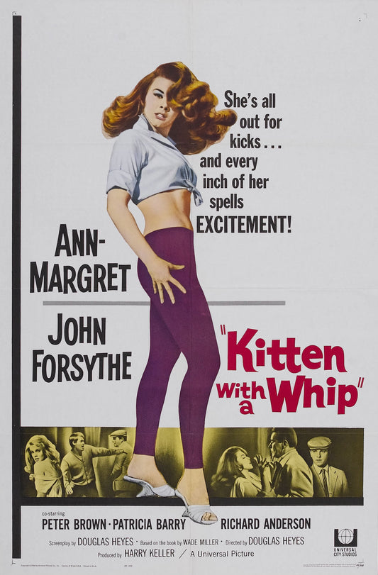 Kitten With A Whip 01 Movie Magnet