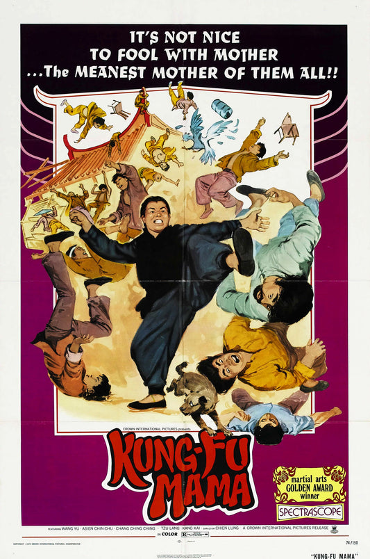 Kung Fu Mama 01 Movie Magnet