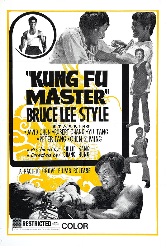 Kung Fu Master Bruce Lee Style 01 Movie Poster