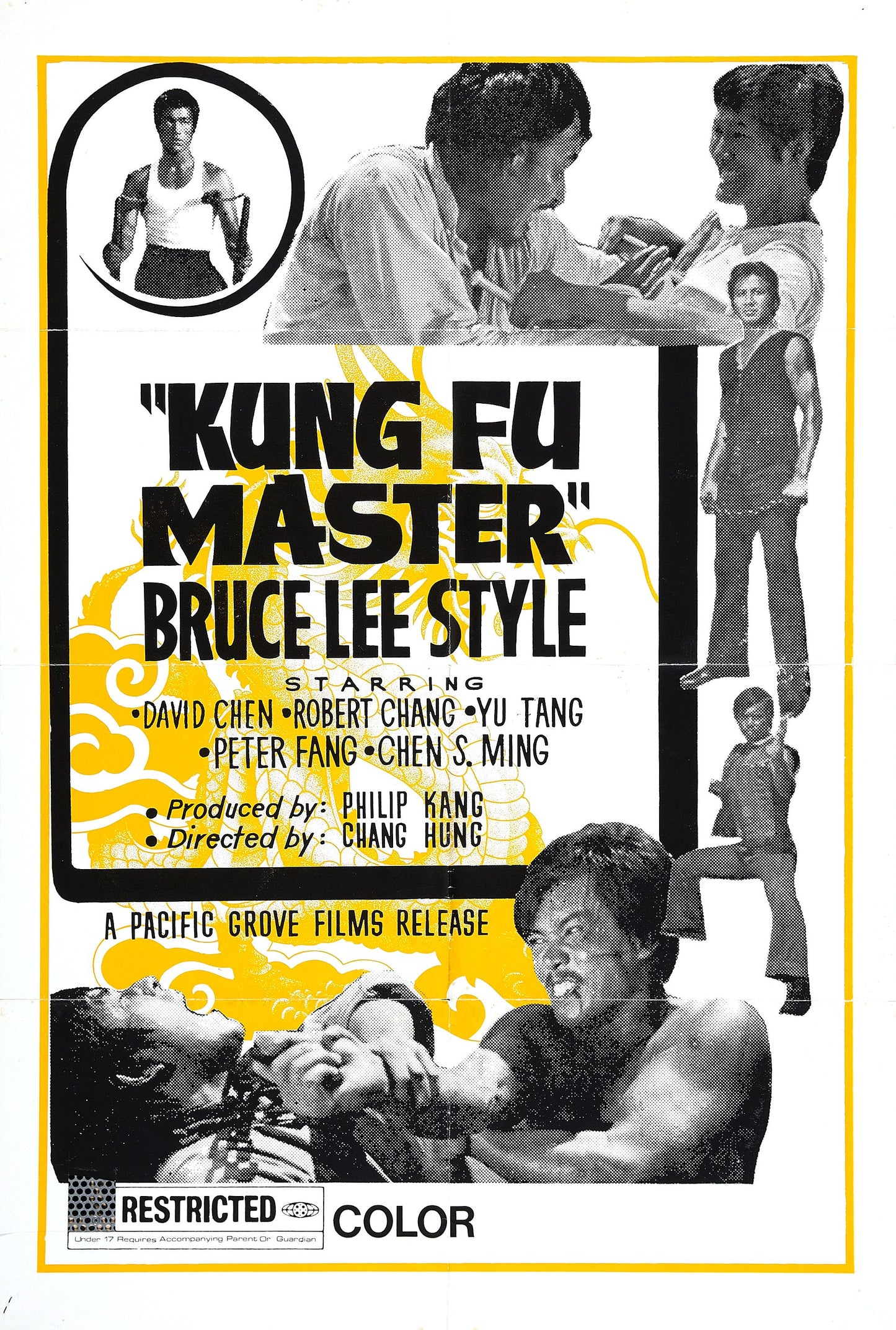Kung Fu Master Bruce Lee Style 01 Movie Magnet