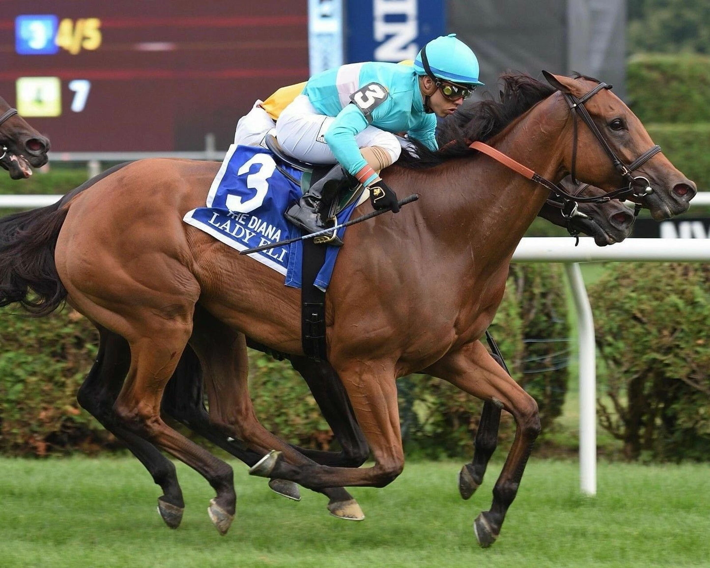 Lady Eli Photo Horse Racing Picture Jockey 300 Piece Jigsaw Puzzle