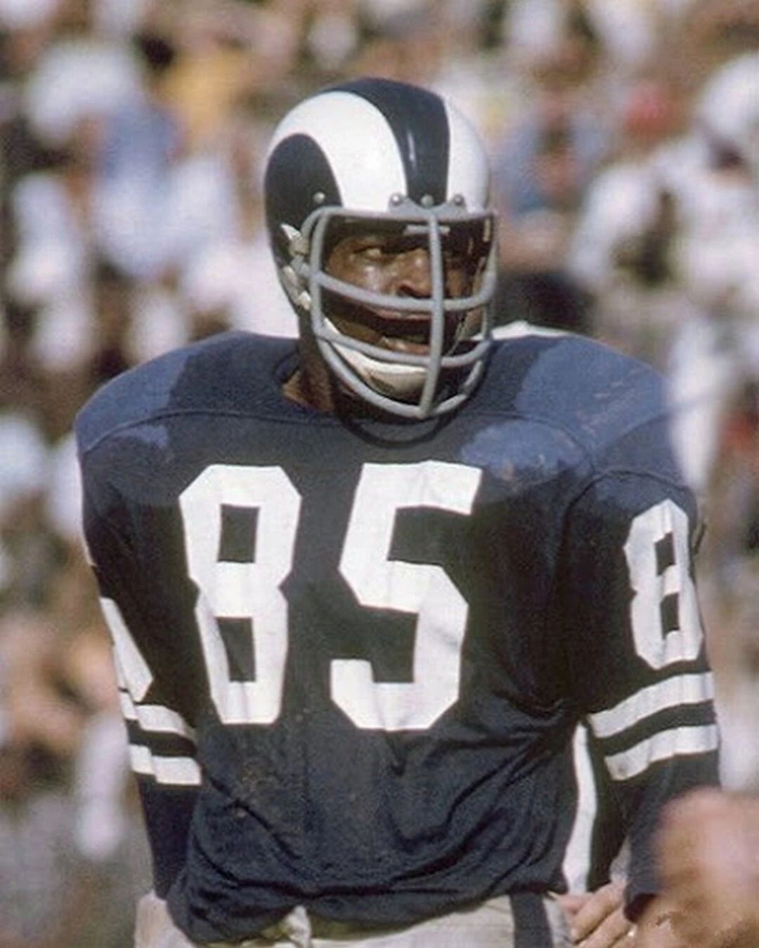 Lamar Lundy Los Angeles Rams La Nfl Football Close Up 300 Piece Jigsaw Puzzle