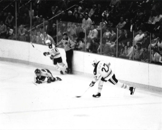 Larry Playfair & Danny Gare Magnet Hockey Buffalo Sabres Picture Nhl