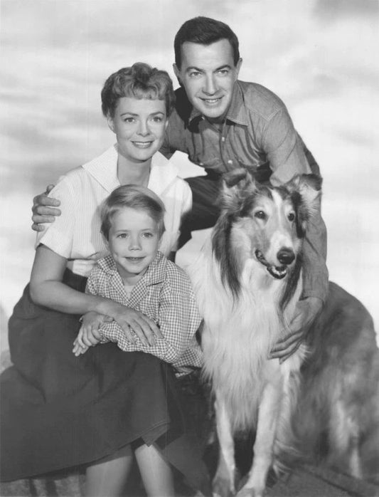 Lassie Cast Photo Tv Picture Timmy June Lockhart