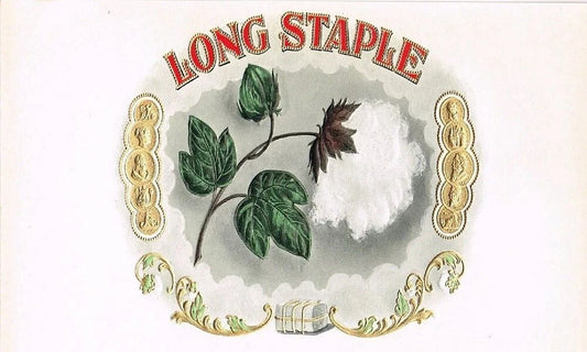Long Staple Brand Cigar Classic Retro Box King Cotton Bales Label Art Print