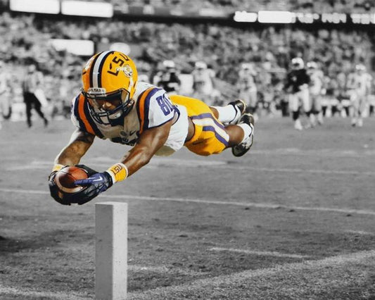 Lsu Tigers Jarvis Landry Glossy Spotlight Magnet College Magnet