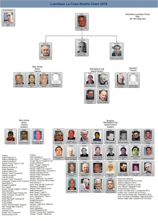 Lucchese Family Chart Magnet Mafia Organized Crime Mobster Mob Picture 2016
