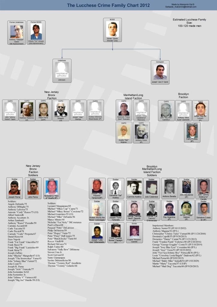 Lucchese Family Chart Photo Mafia Organized Crime Mobster Mob Picture