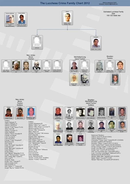 Lucchese Family Chart Photo Mafia Organized Crime Mobster Mob Picture