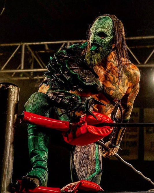 Luchasaurus Magnet Wrestling Picture Aew