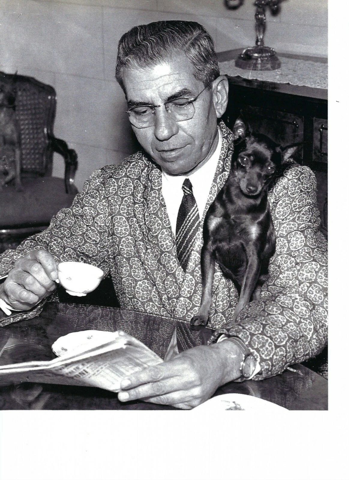 Lucky Luciano Photo Mafia Organized Crime Mobster Mob Picture With Dog