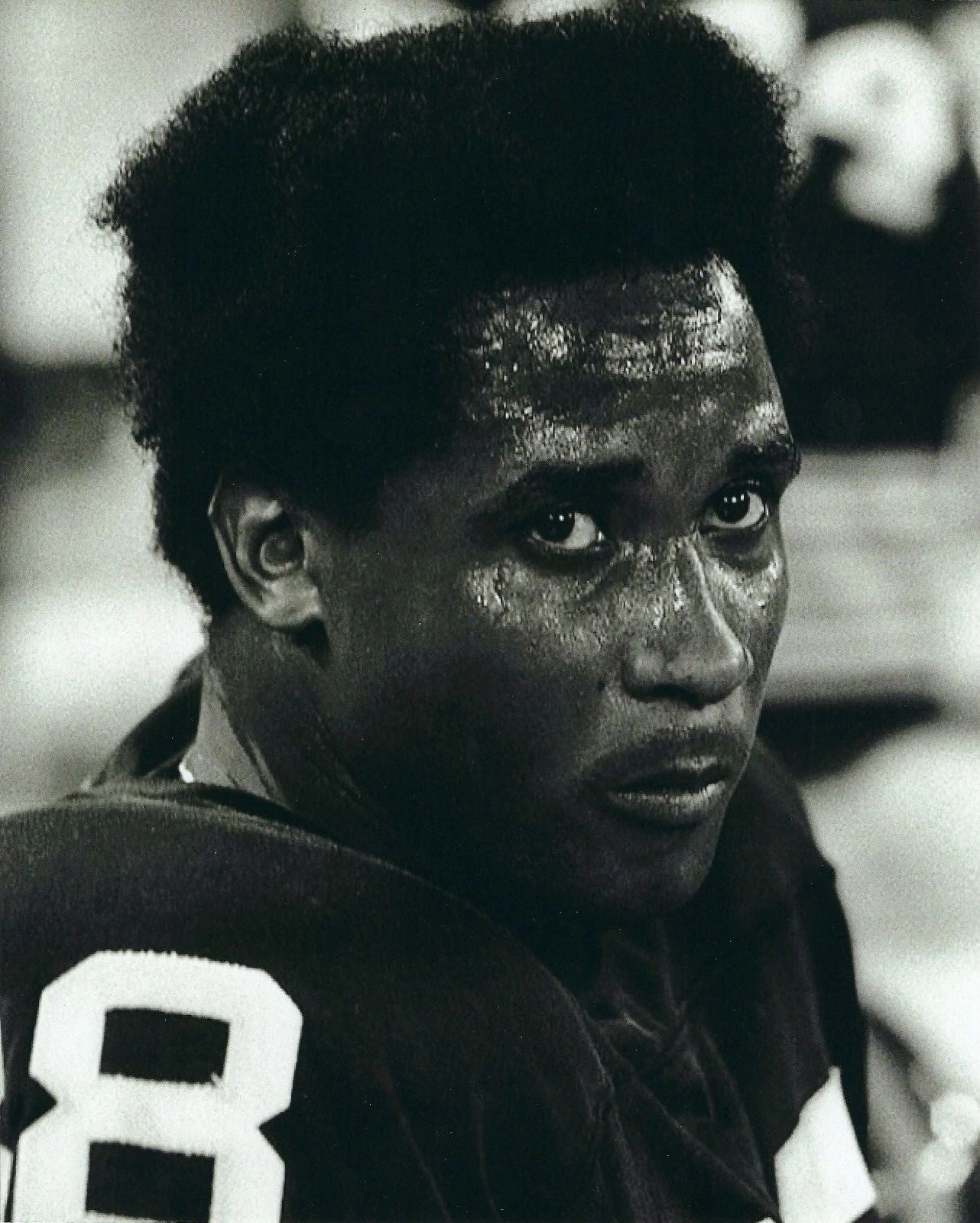 Lynn Swann Photo Pittsburgh Steelers Nfl Football Picture Close Up