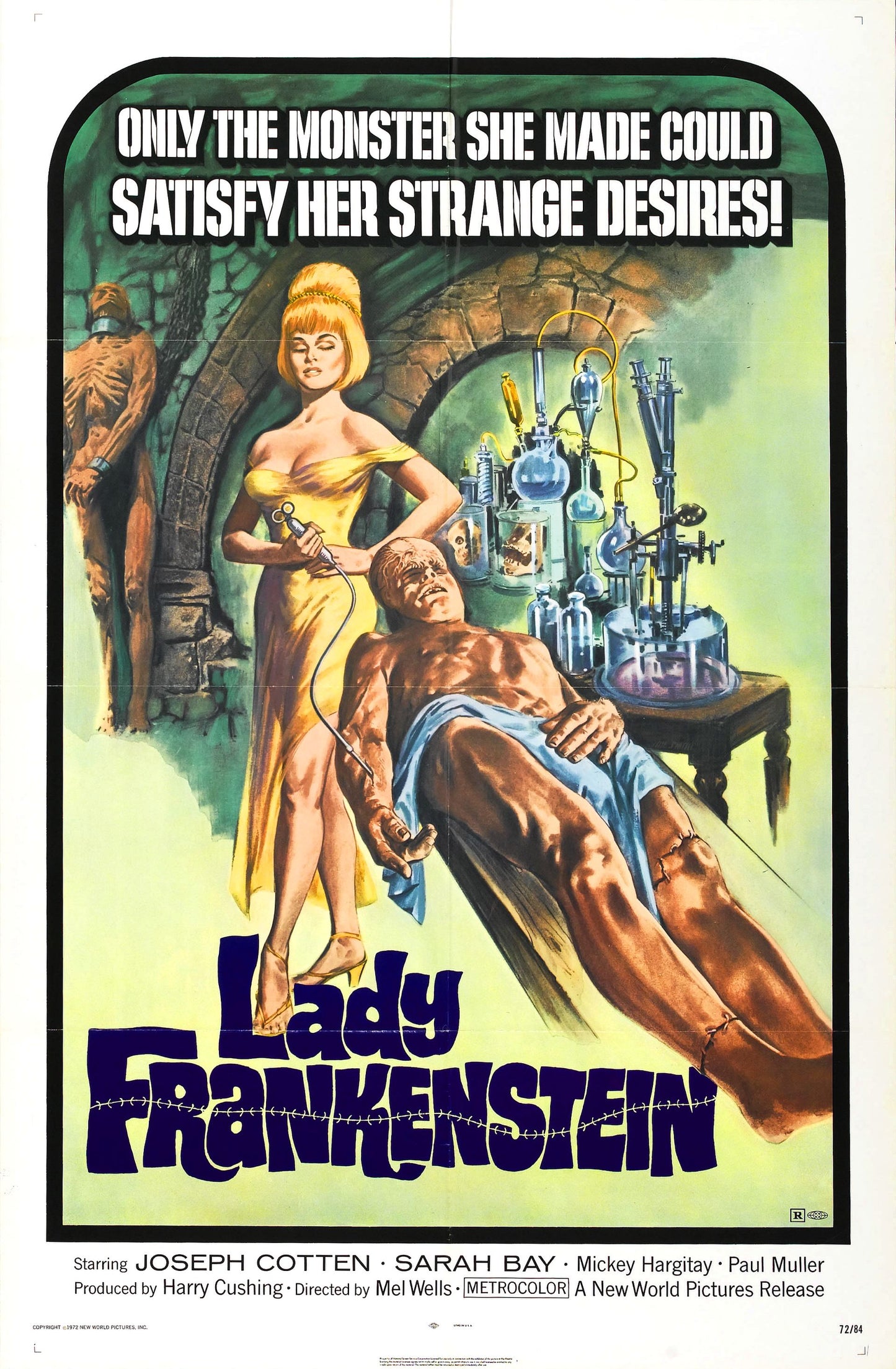 Lady Frankenstein 01 Movie Magnet