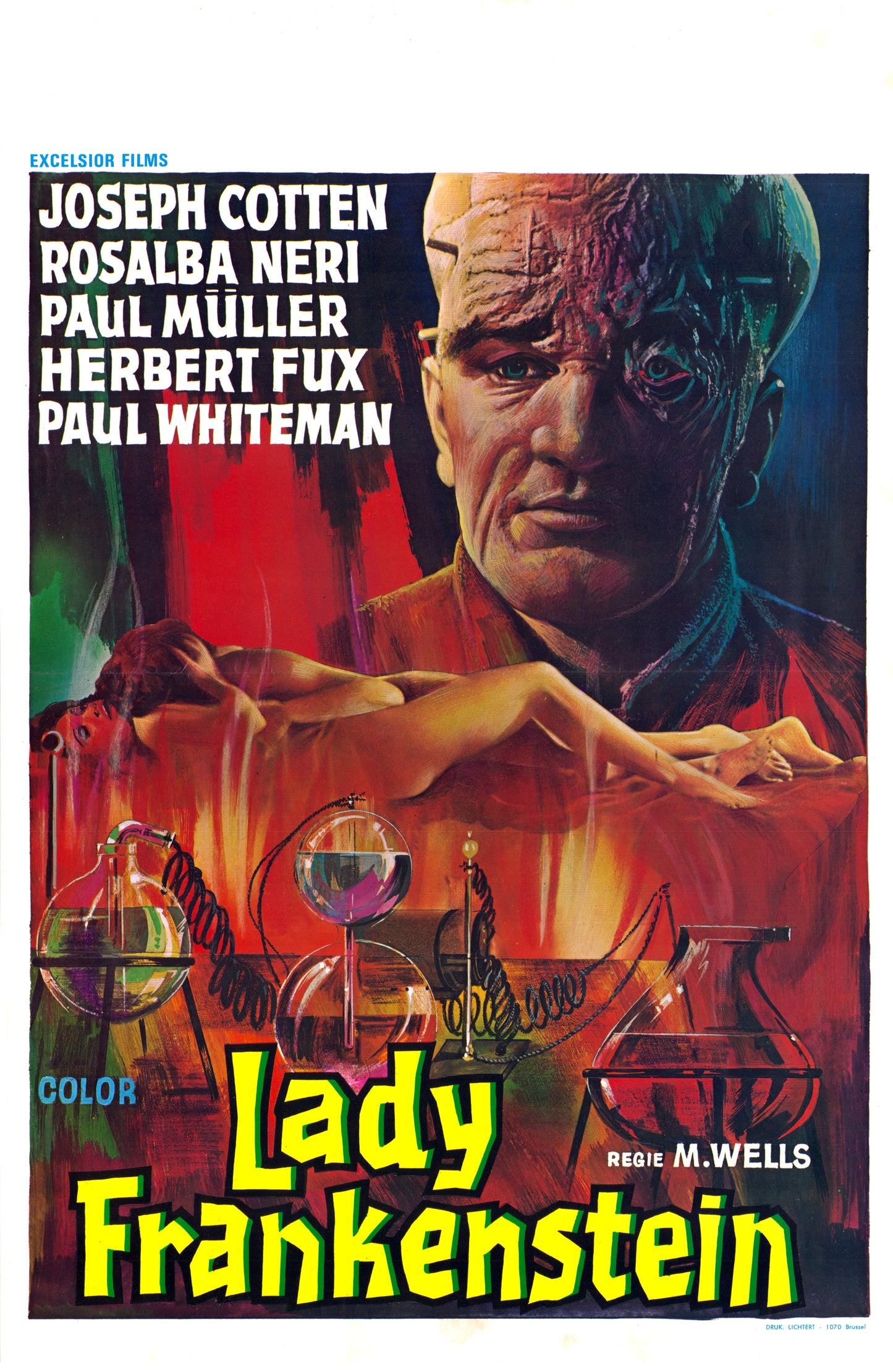 Lady Frankenstein 03 Movie Magnet