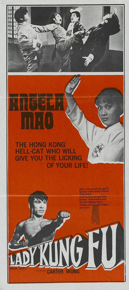 Lady Kung Fu 02 Movie Magnet