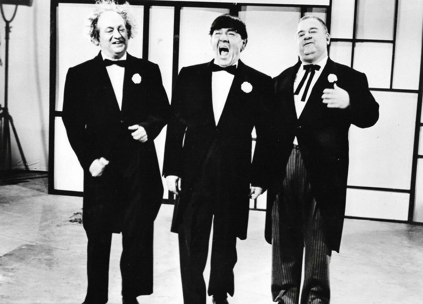 Larry Moe And Curly Three Stooges Funny Comedy Photo Picture Reprint
