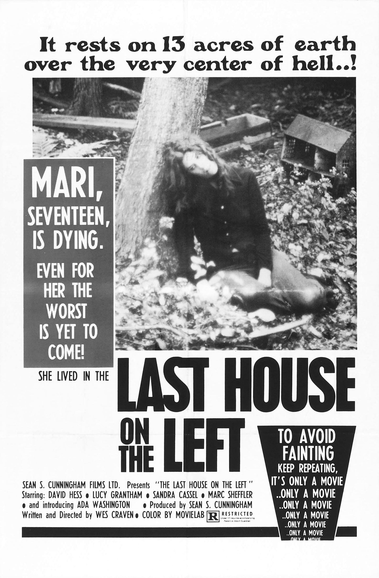 Last House On The Left 01 Movie Magnet