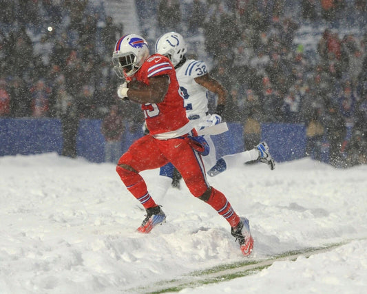 Lesean Mccoy Keychain Buffalo Bills Picture Nfl Football Vs Colts Snow