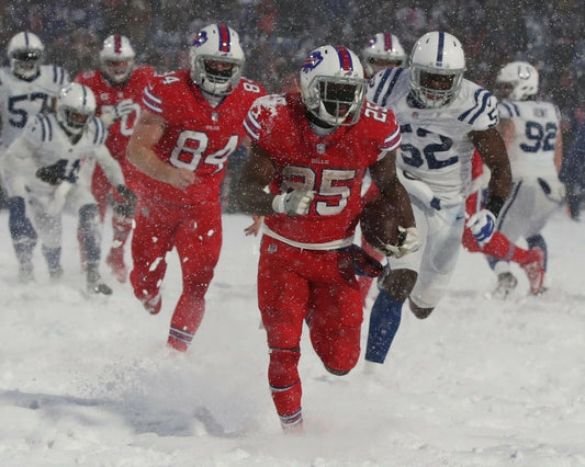 Lesean Mccoy Magnet Buffalo Bills Picture Nfl Football Vs Colts