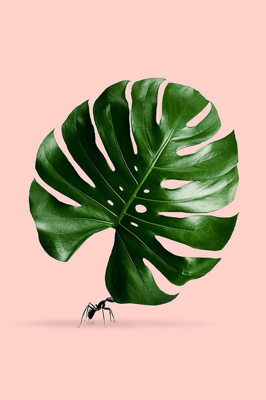 Leaves Cutter Ants Carry Leaves Painting Wall Art Home Decor Poster