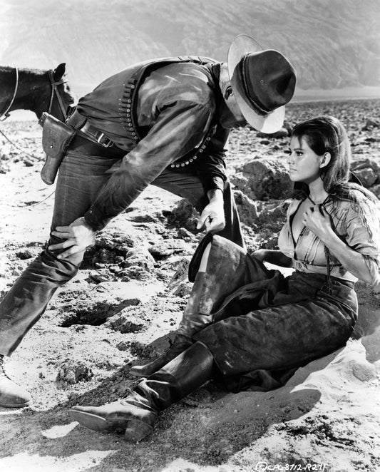 Lee Marvin Claudia Cardinale Movie The Professionals Picture Magnet Print