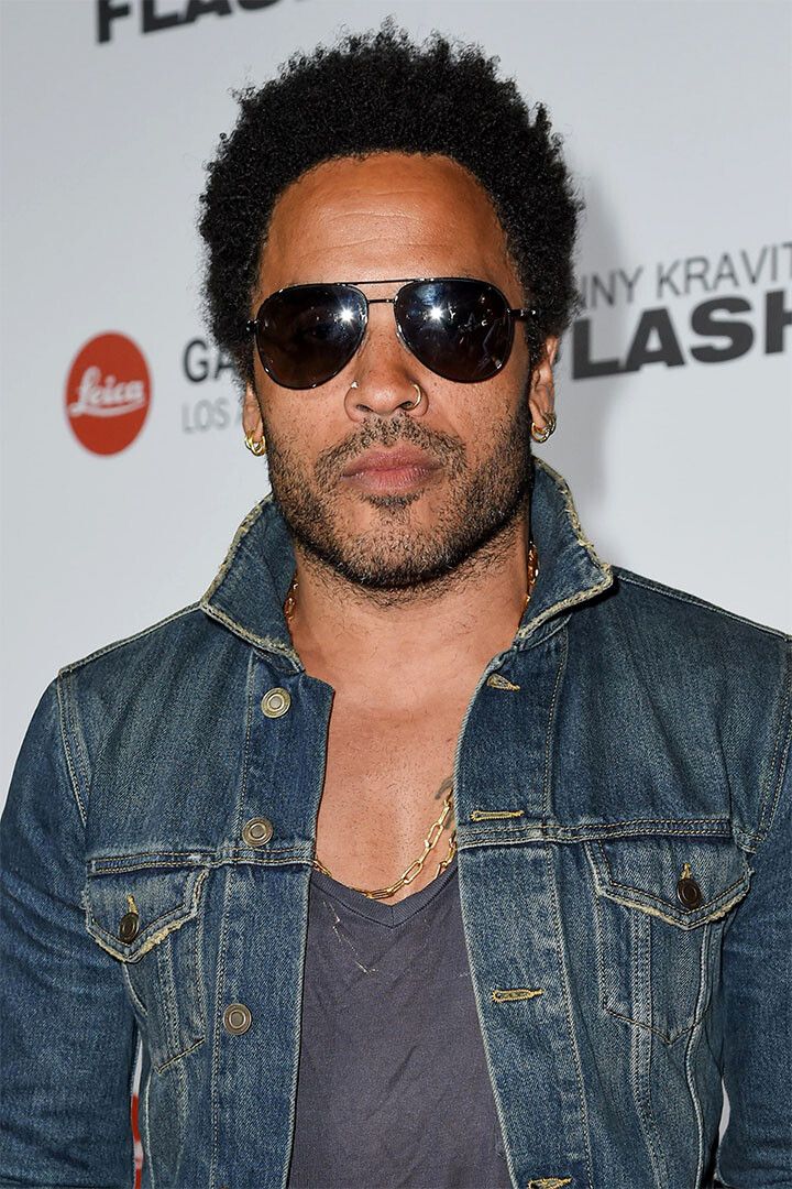 Lenny Kravitz Posed Actor Songwriter Painting Wall Home Decor Poster