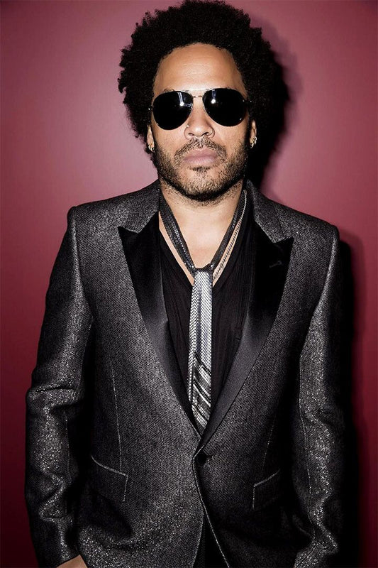Lenny Kravitz Posed Singer Songwriter Painting Wall Home Decor Poster