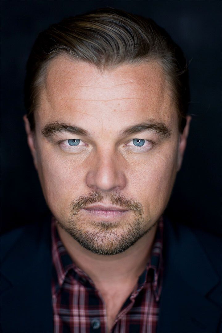 Leonardo Di Caprio Cute Boy Handsome Wall Art Home Decor Poster