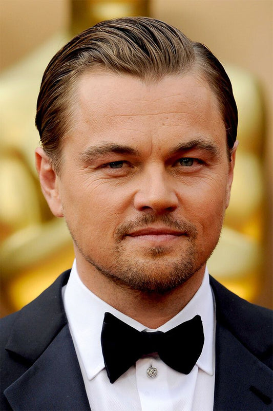 Leonardo Di Caprio Handsome Painting Wall Art Home Decor Poster
