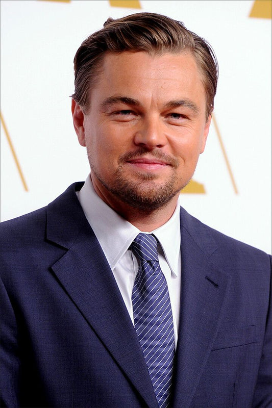Leonardo Dicaprio Celebrity Cinema Actor Idol Wall Art Home Decor Poster