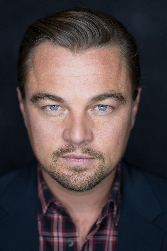 Leonardo Dicaprio Celebrity Movie Actor Star Wall Art Home Decor Poster