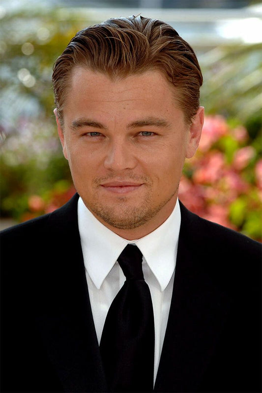 Leonardo Dicaprio Handsome Actor Picture Wall Art Home Decor Poster