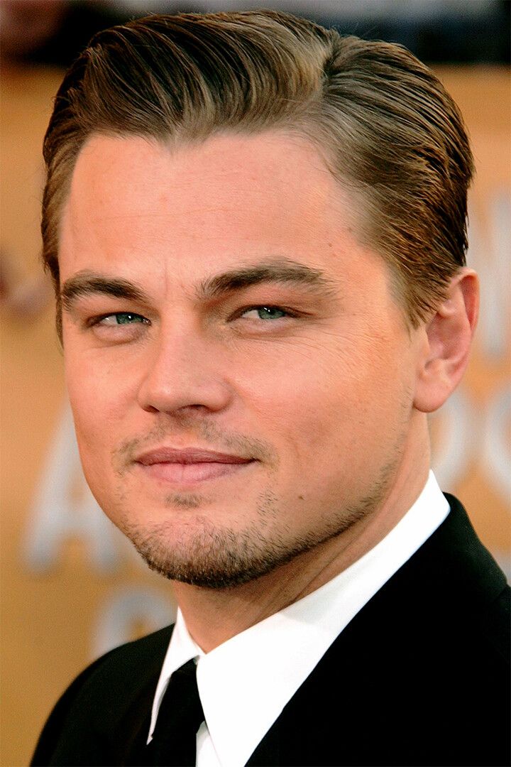 Leonardo Dicaprio Handsome Cinema Actor Star Wall Art Home Decor Poster