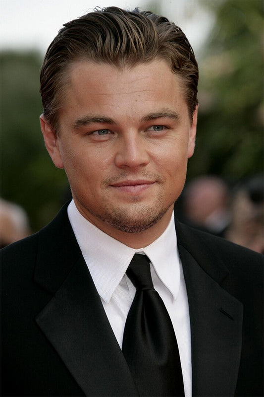 Leonardo Dicaprio Handsome Movie Actor Idol Wall Art Home Decor Poster
