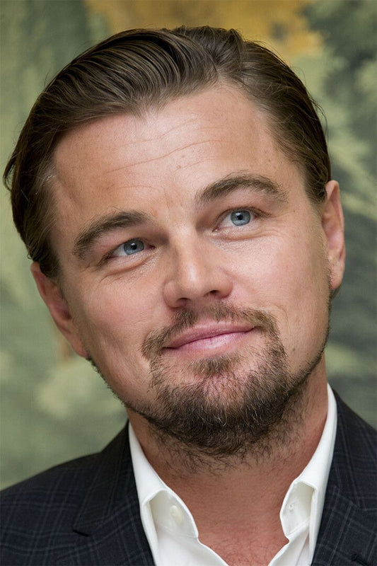 Leonardo Dicaprio Handsome Movie Actor Star Wall Art Home Decor Poster