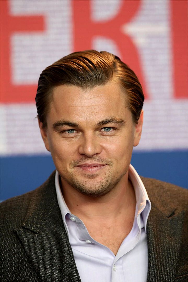 Leonardo Dicaprio Stylish Actor Painting Wall Art Home Decor Poster